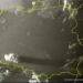 Poland and Ukraine obsucred by a massive cloud