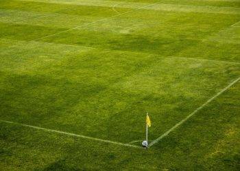 white and black soccer ball on side of green grass field during daytime