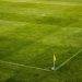 white and black soccer ball on side of green grass field during daytime
