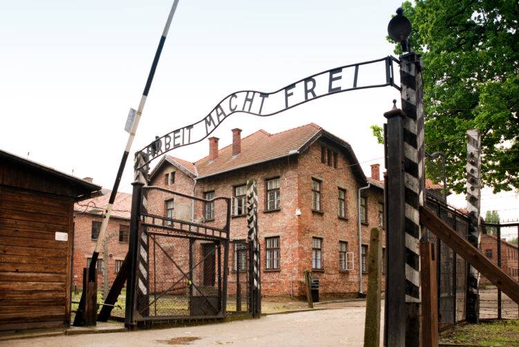 Outrage after Polish ruling party uses Auschwitz footage to attack opposition