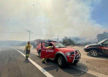 Polish firefighters help Greeks combat rapidly spreading fires
