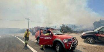 Polish firefighters help Greeks combat rapidly spreading fires