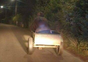 Intoxicated Carriage Driver Falls Asleep; Faithful Horse Safely Returns Him Home