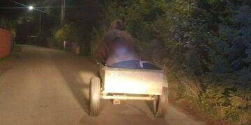 Intoxicated Carriage Driver Falls Asleep; Faithful Horse Safely Returns Him Home