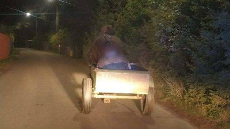 Intoxicated Carriage Driver Falls Asleep; Faithful Horse Safely Returns Him Home