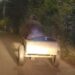 Intoxicated Carriage Driver Falls Asleep; Faithful Horse Safely Returns Him Home