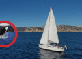 Orcas Sink Polish Yacht Near Gibraltar: A Rescue Operation Underway