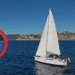 Orcas Sink Polish Yacht Near Gibraltar: A Rescue Operation Underway
