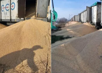 Massive Ukrainian Corn Spill Near Bydgoszcz: Hundreds of Tons on Railway Tracks