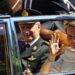 Queen Mathilde of Belgium: A Royal with Polish Roots