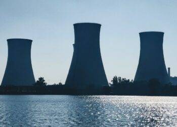 silhouette of trees near body of water during daytime