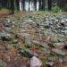 “Polish Stonehenge”: The Mysterious Stone Circles of Węsiory