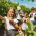 Poland Emerges as Key Producer of World’s Favorite Superfruit