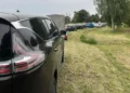 Crowds Rush to Shelter as All Dogs and Cats are Adopted in Less Than an Hour And Saved from Flood