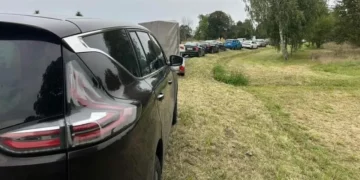 Crowds Rush to Shelter as All Dogs and Cats are Adopted in Less Than an Hour And Saved from Flood