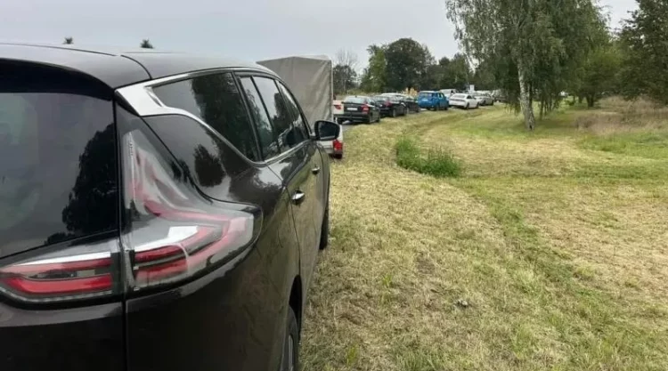 Crowds Rush to Shelter as All Dogs and Cats are Adopted in Less Than an Hour And Saved from Flood