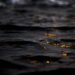 body of water