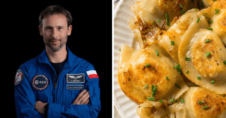 Polish Astronaut to Take Pierogi to Space