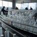 Poland Surpasses Russia in Global Vodka Exports