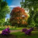 Poland Claims Fourth Consecutive Win in European Tree of the Year Contest