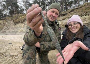 Ancient Dagger Found on Polish Beach Could Reveal Secrets of the Iron Age