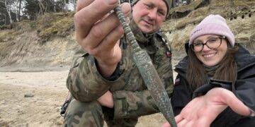 Ancient Dagger Found on Polish Beach Could Reveal Secrets of the Iron Age