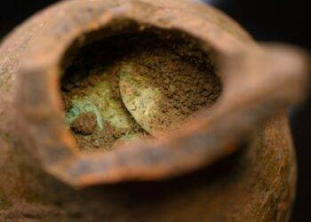 Ancient Polish Coin Cache Dating Back to 1400s Discovered