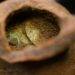 Ancient Polish Coin Cache Dating Back to 1400s Discovered