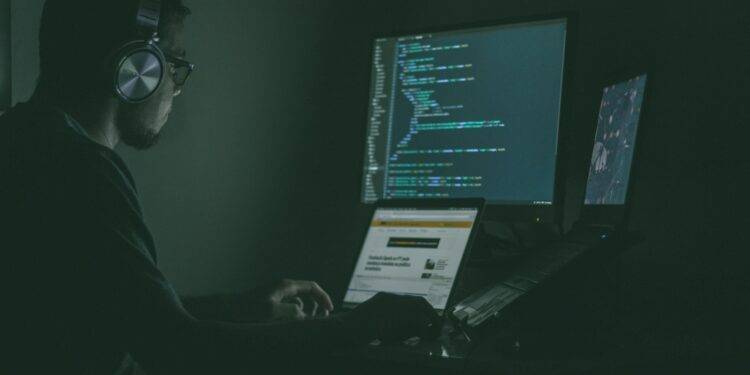 person using laptop computers