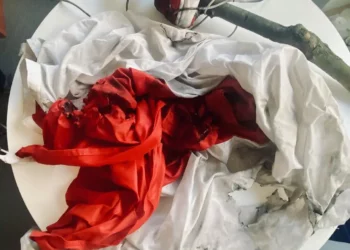 Man Arrested for Burning Polish Flags at Historic WWII Westerplatte Site