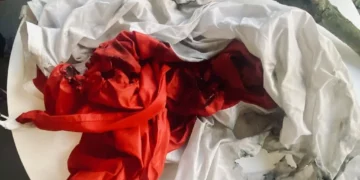Man Arrested for Burning Polish Flags at Historic WWII Westerplatte Site