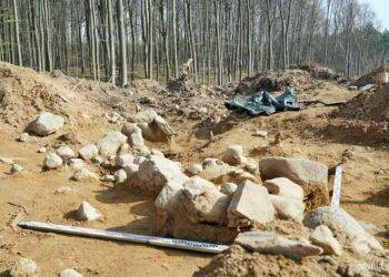 2,500-Year-Old Graves Found at Polish Road Construction Site in Gdynia