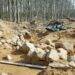 2,500-Year-Old Graves Found at Polish Road Construction Site in Gdynia