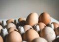 shallow focus photography of brown eggs