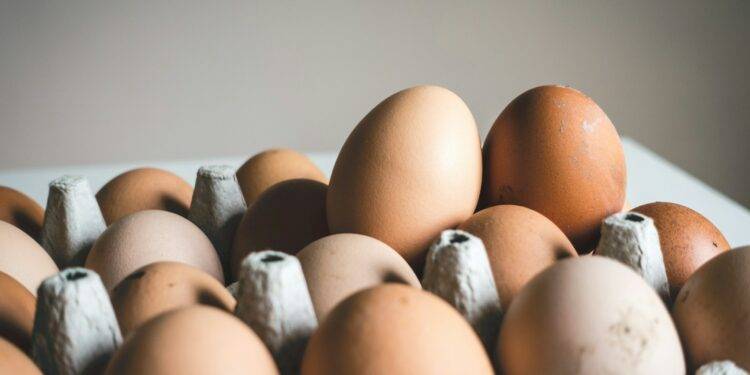 shallow focus photography of brown eggs