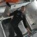 Sławosz Uznański-Wiśniewski Becomes First Pole Aboard International Space Station