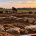 1,000-year-old graves reveal life in early Piast Poland