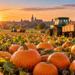 Poland produces more than a third of EU pumpkins as harvest heads towards 480,000 tonnes