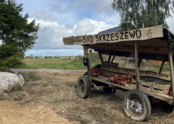 Polish orchard’s self-service ‘apple machine’ runs on trust — and customers keep paying