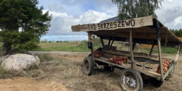 Polish orchard’s self-service ‘apple machine’ runs on trust — and customers keep paying