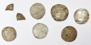 Arab silver coins found in Polish forest may be linked to Viking-era trading port
