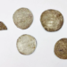 Arab silver coins found in Polish forest may be linked to Viking-era trading port