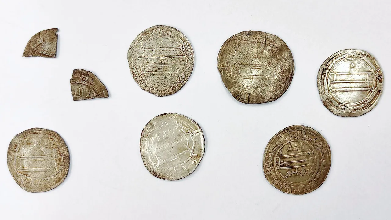 Arab silver coins found in Polish forest may be linked to Viking-era trading port