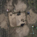Overhead photograph of four archaeological researchers examining an excavation trench in a field at Gródek, eastern Poland. Image from the Stanisław Staszic Museum in Hrubieszów.