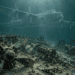 Digitally created reconstruction of an Avro Lancaster above fragmented aircraft wreckage on the Baltic seabed