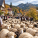 Digitally created illustration of a large flock of sheep being guided by traditionally dressed Highland shepherds through a Polish mountain town in autumn